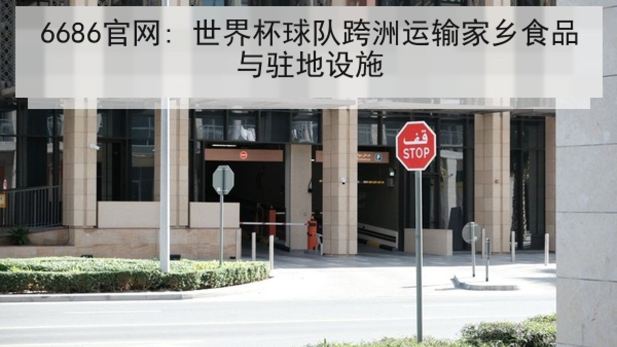 6686官网: 世界杯球队跨洲运输家乡食品与驻地设施